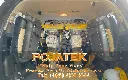 stamper kuda in car.webp
